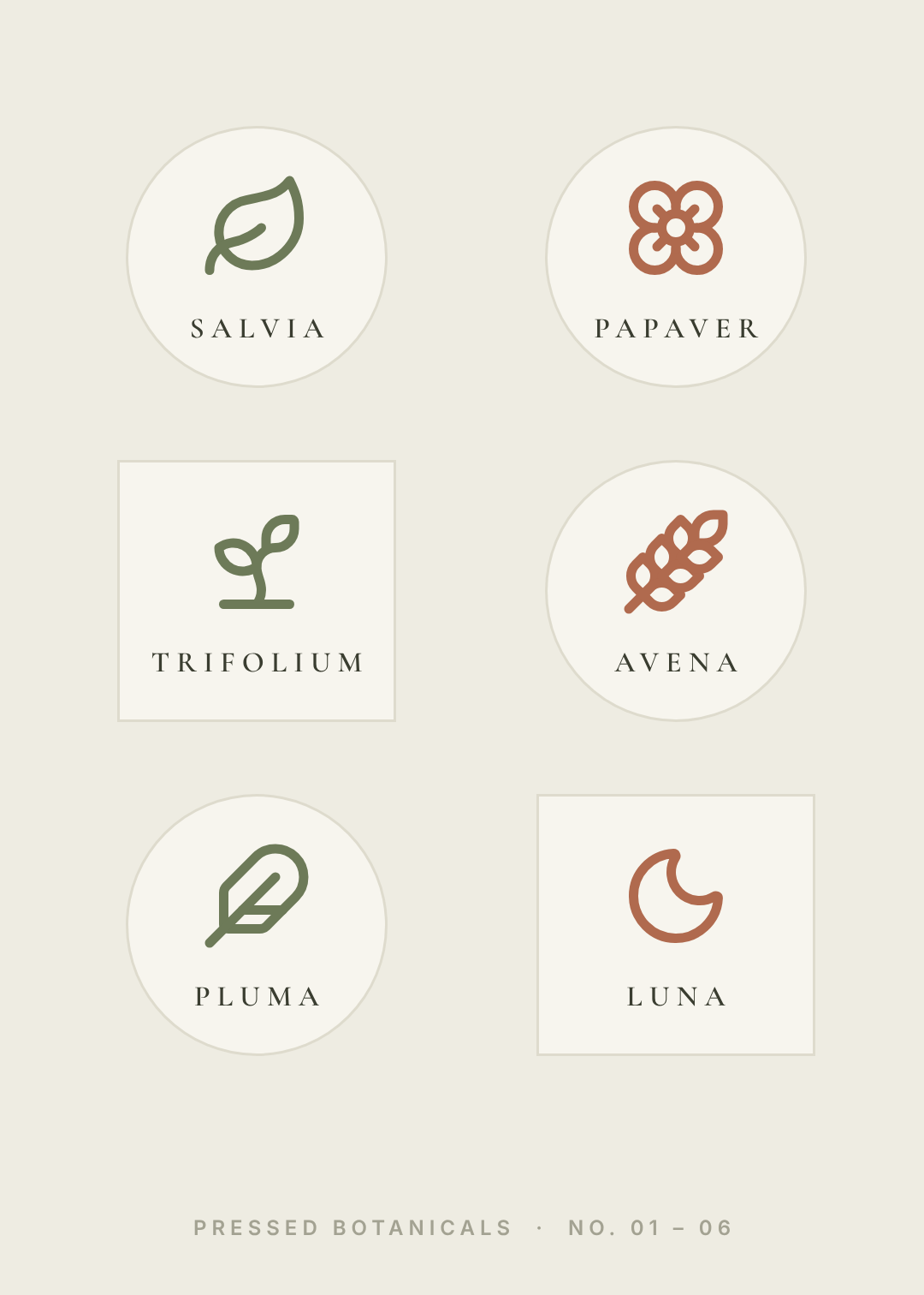 Muted stone sticker sheet with six pale cream stickers holding sage and terracotta line botanicals labelled SALVIA, PAPAVER, TRIFOLIUM, AVENA, PLUMA and LUNA in a light serif